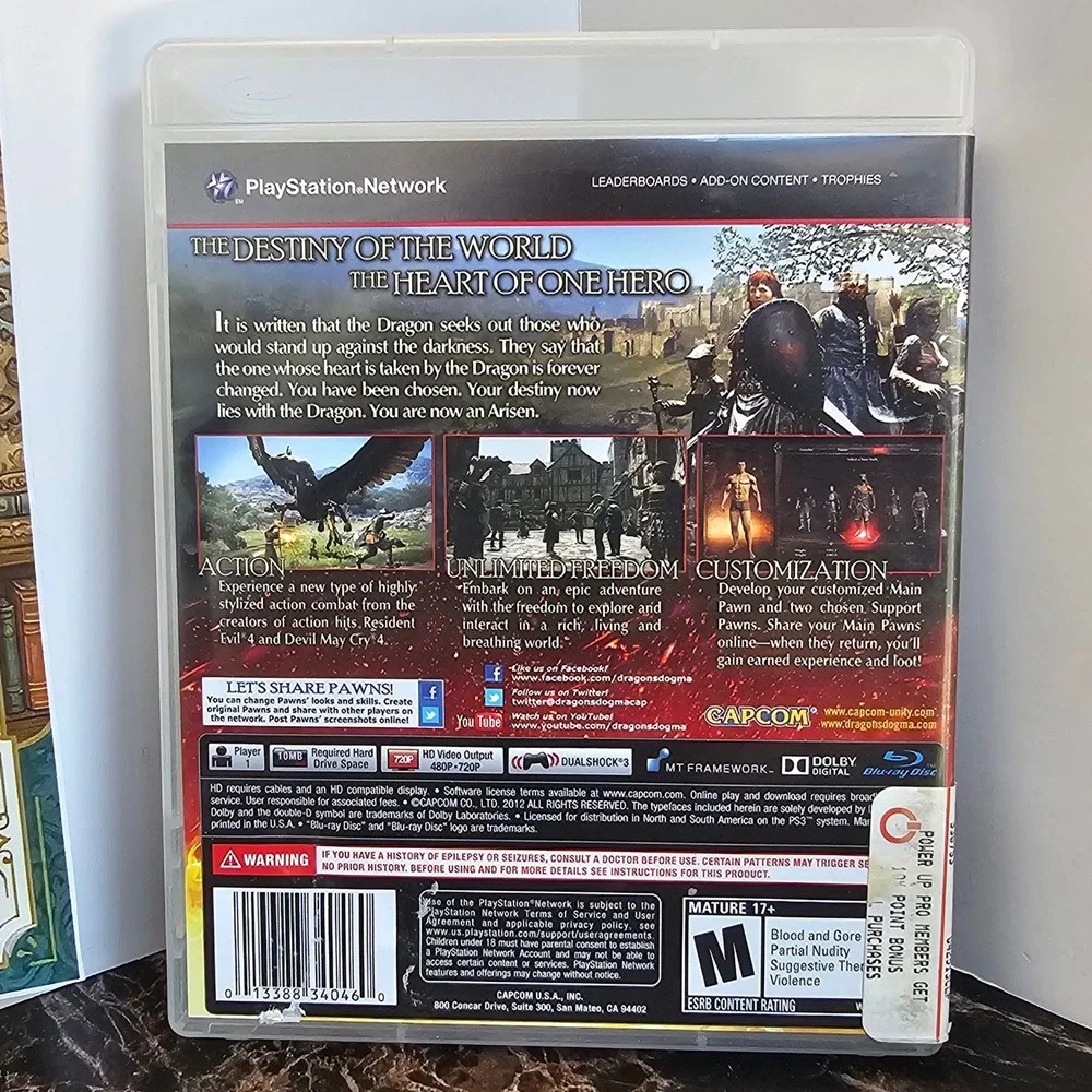 Capcom dragon dogma